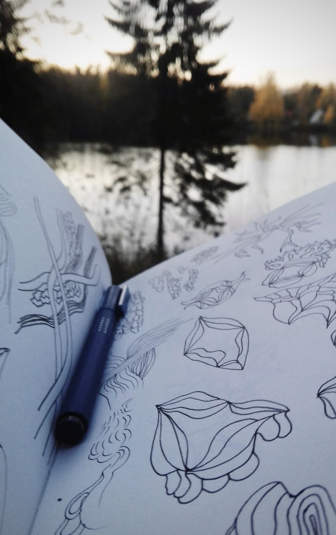 Inspiratsiooniallikas loodusest või loomingust